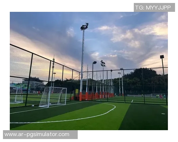 平顶山足球球星的崛起与成就探析及其对地方足球发展的推动作用